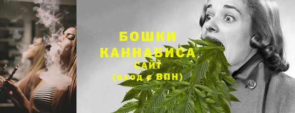 ГАЛЛЮЦИНОГЕННЫЕ ГРИБЫ Туринск