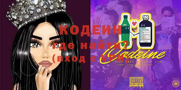 ГАЛЛЮЦИНОГЕННЫЕ ГРИБЫ Туринск