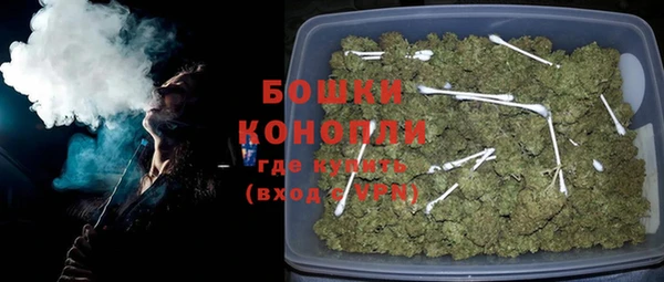 ГАЛЛЮЦИНОГЕННЫЕ ГРИБЫ Туринск