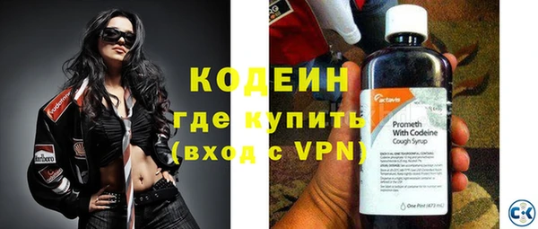 хмурый Абаза