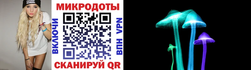 Галлюциногенные грибы Psilocybe  Ак-Довурак 